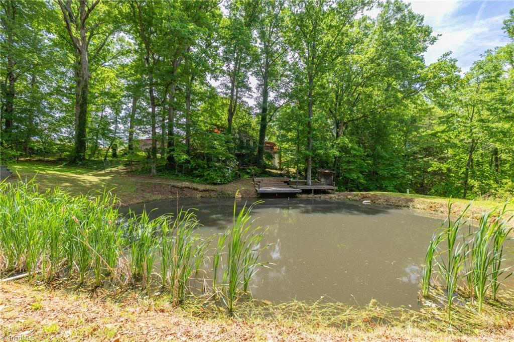 1134 Edwards Farm Road King, NC 27021 - Photo 38 of 50