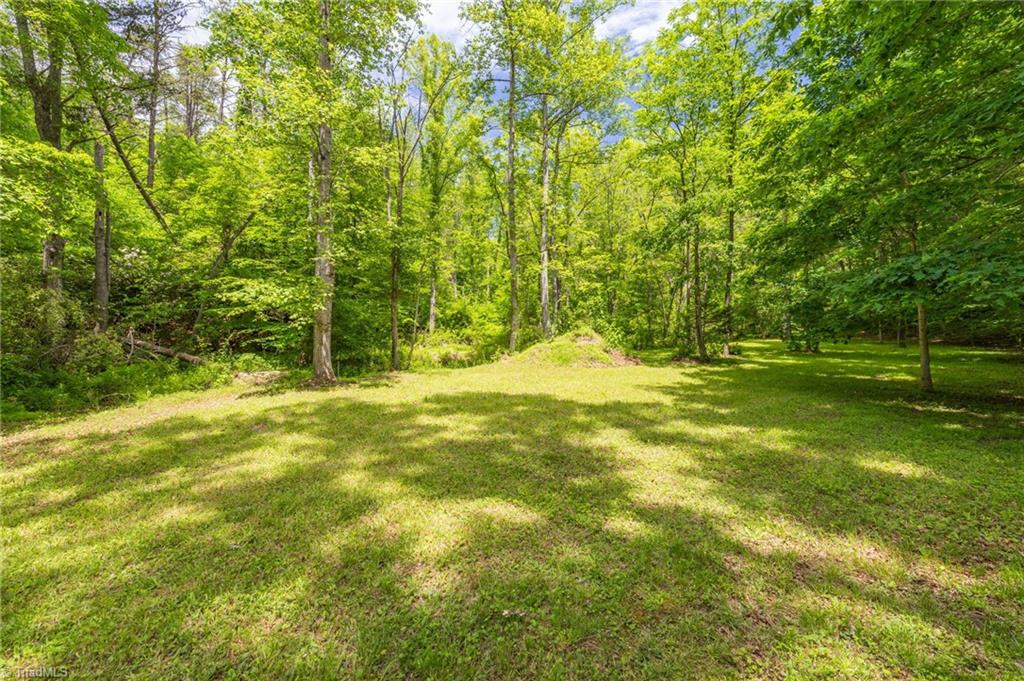 1134 Edwards Farm Road King, NC 27021 - Photo 40 of 50 Part of the many walking areas surrounding the property with meandering creeks along the way