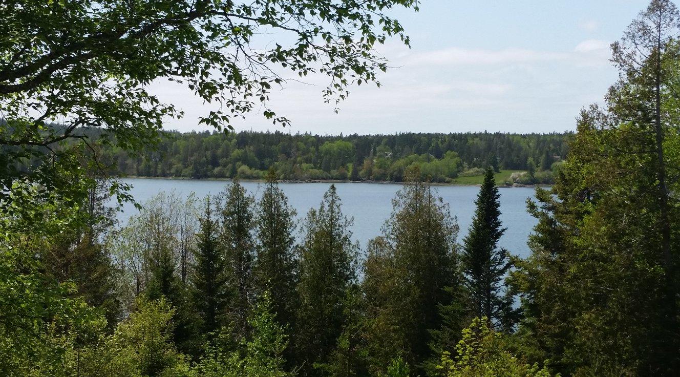 52 Raft Cove Road Lubec, ME 04652 - Photo 12 of 33 33922435_1953512558014706_56347642149302