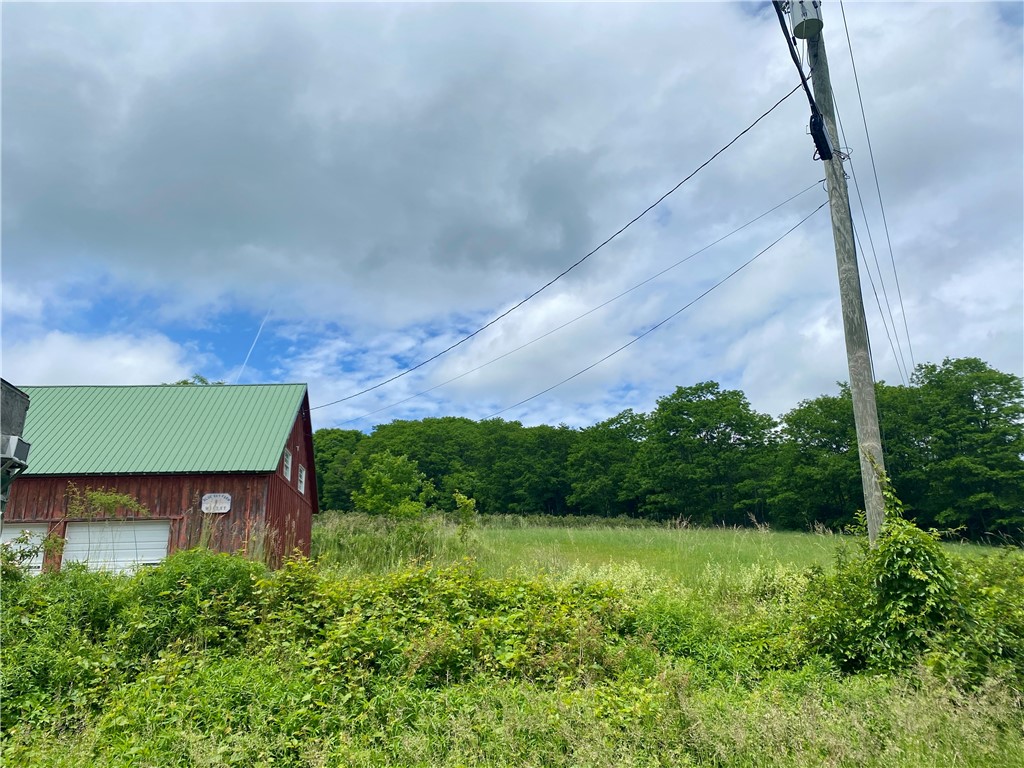 799 Charcoal Road Roxbury, NY 12167 - Photo 1 of 1 Gallery Image 1