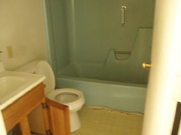 2491 Locust Grove Church Road Orange, VA 22960 - Photo 11 of 11 a bathroom with a sink and a toilet