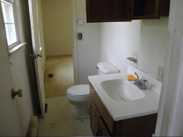 2491 Locust Grove Church Road Orange, VA 22960 - Photo 10 of 11 a bathroom with a sink a toilet and shower