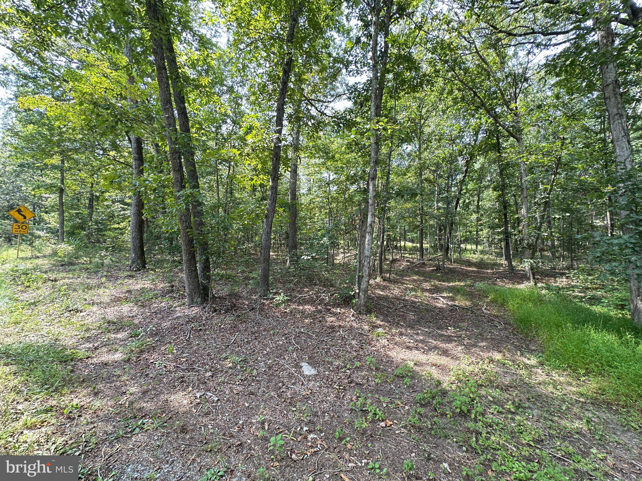 0 Egypt Bend Road Luray, VA 22835 - Photo 4 of 9 Gallery Image 4