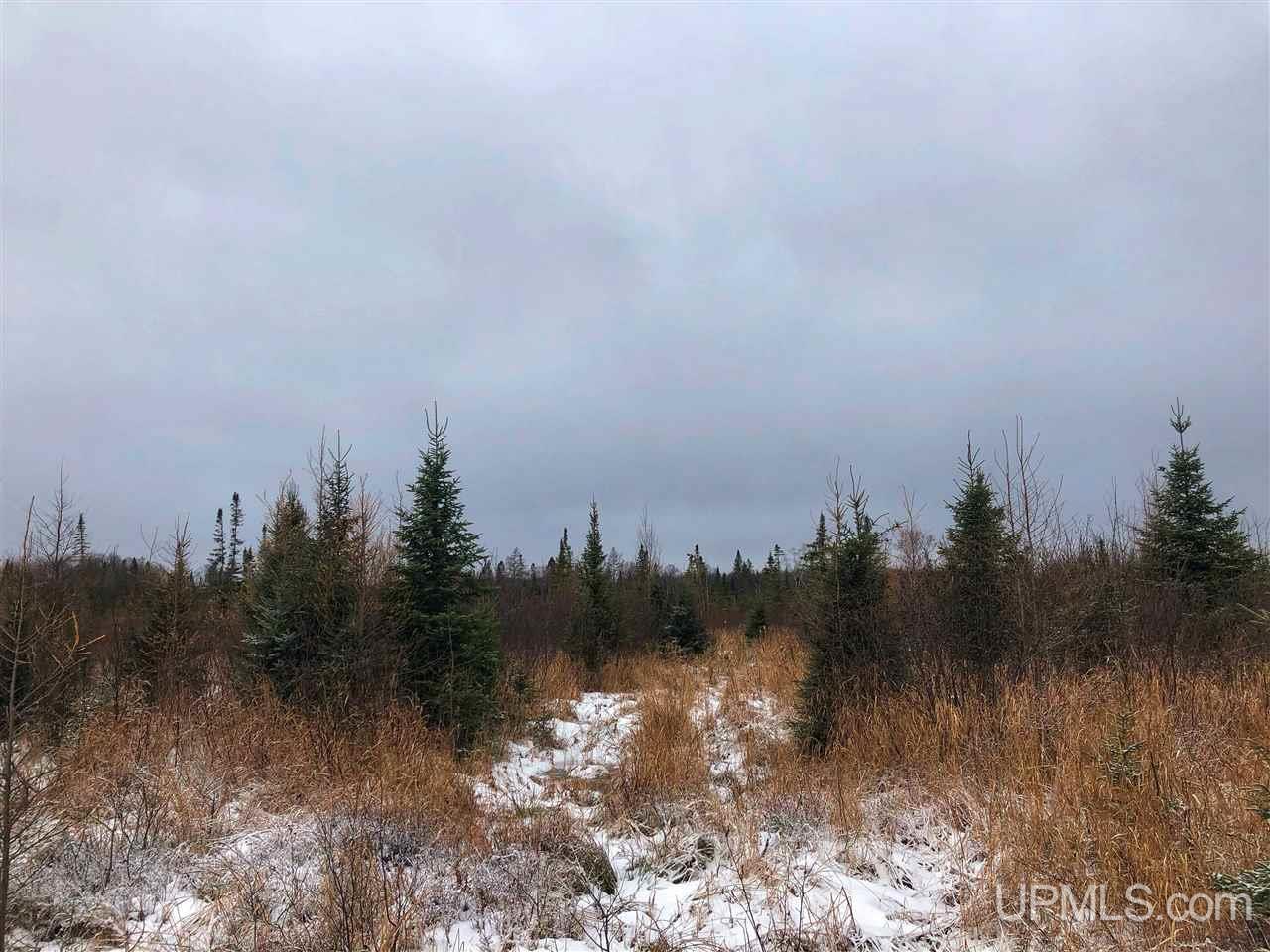 Tbd Chipmunk Trail Republic, MI 49879 - Photo 29 of 39