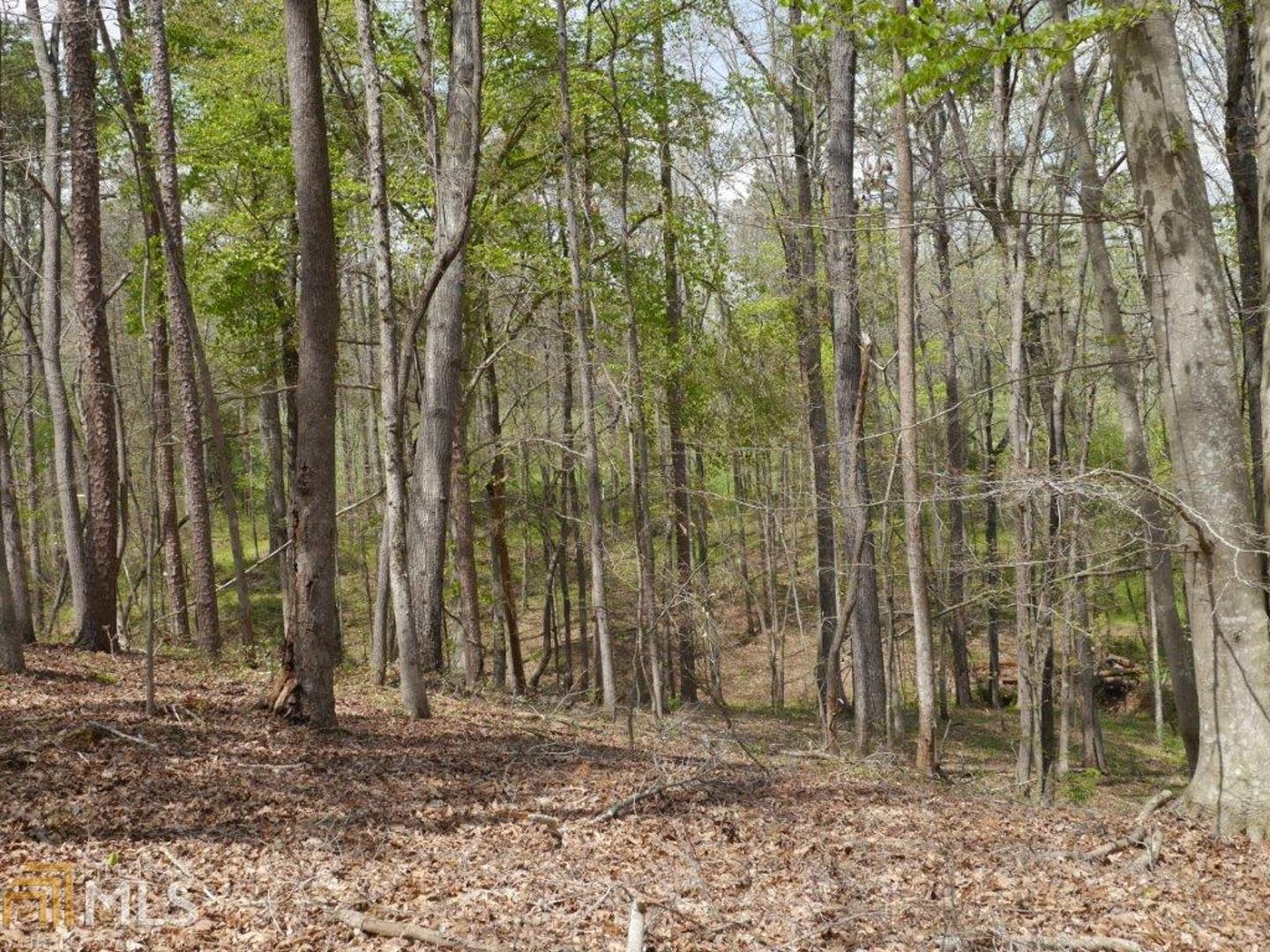 0 Cane Creek Road, Unit TRACT 3 Athens, GA 30607 - Photo 1 of 1 a backyard of a house with lots of tall trees