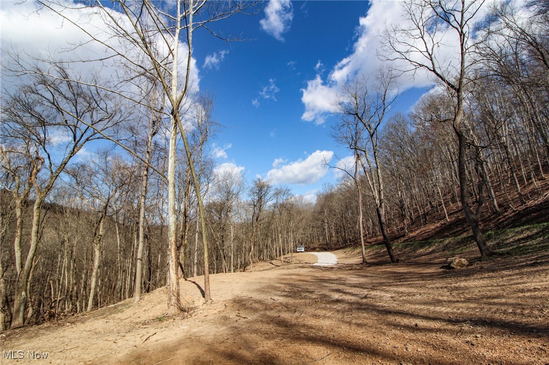 Elk Run Road New Matamoras, OH 45767 - Photo 7 of 27 View of road