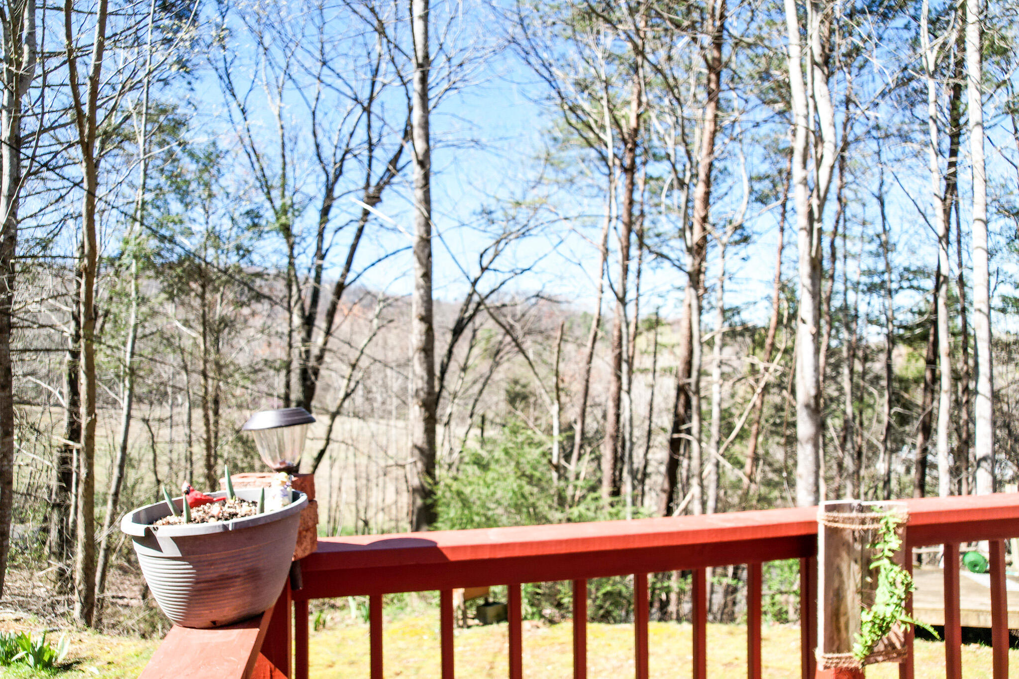 102 Valentine Road Chuckey, TN 37641 - Photo 15 of 45 DJI_0141