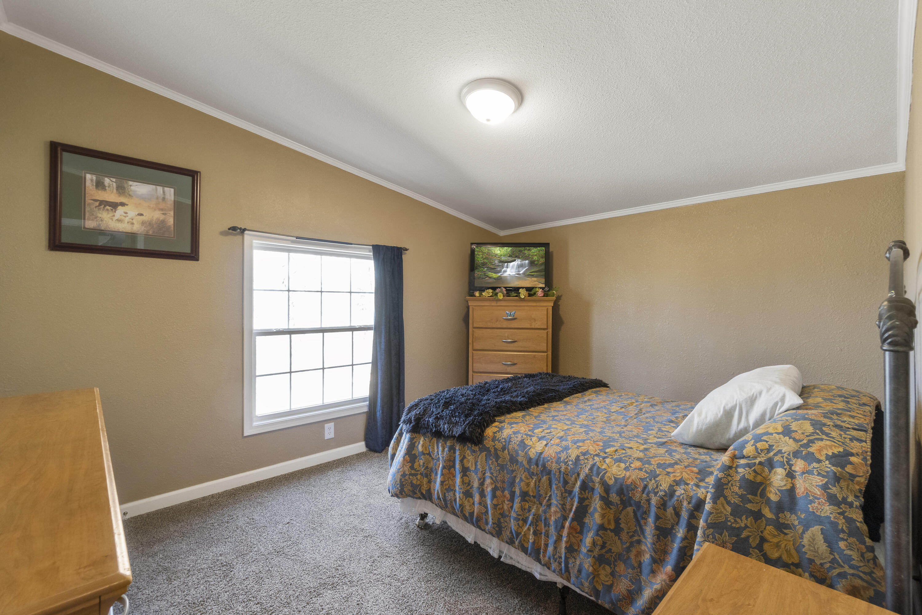 102 Valentine Road Chuckey, TN 37641 - Photo 41 of 45 DSC03829