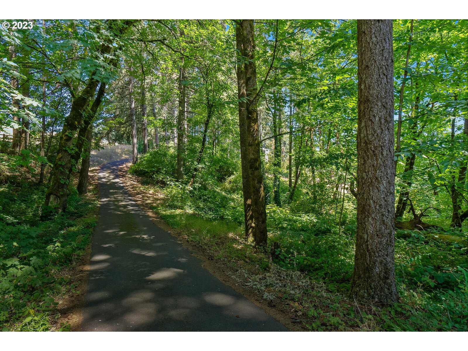 34925 Northeast Kramien Road Newberg, OR 97132 - Photo 35 of 46 Gallery Image 35