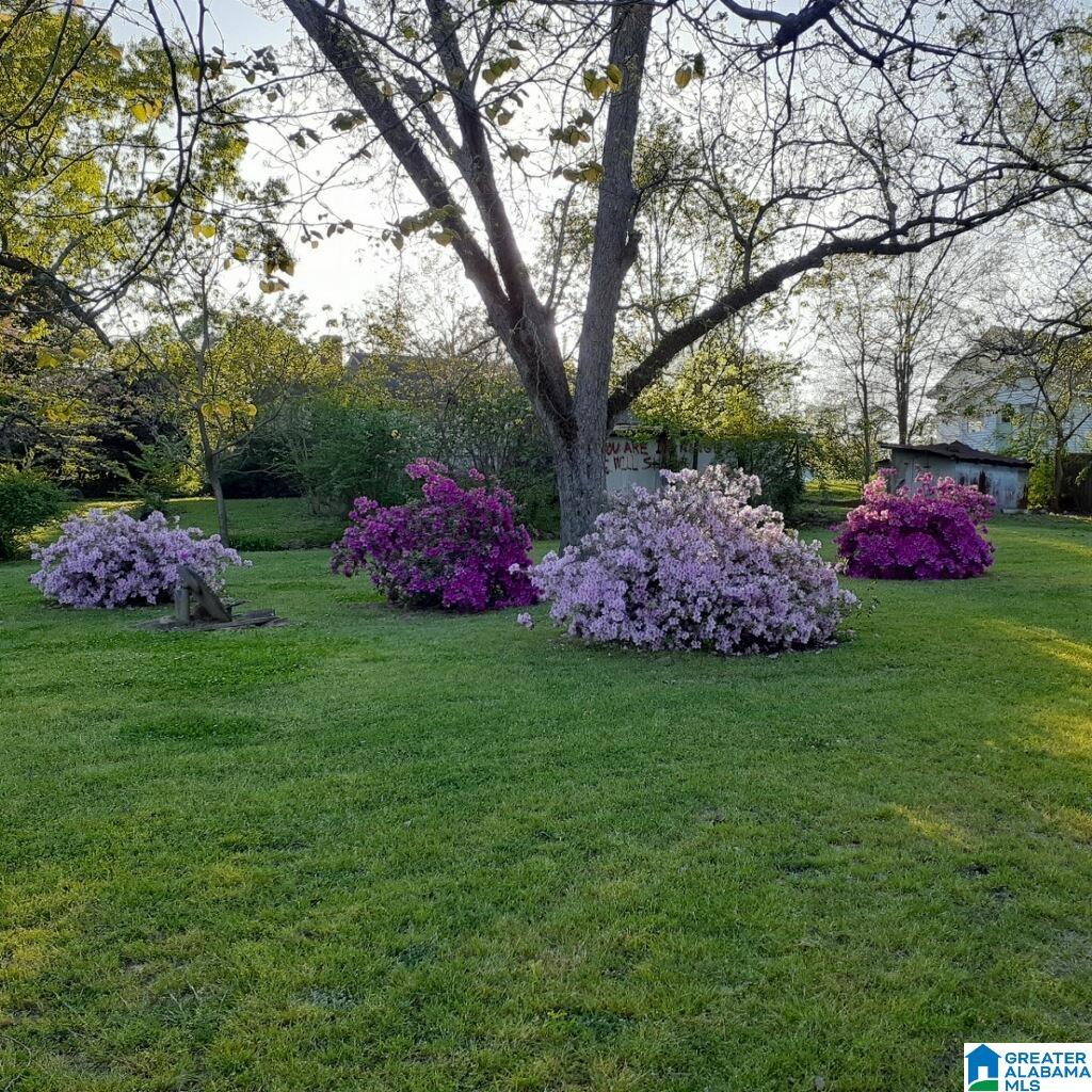 322 Main Street Jemison, AL 35085 - Photo 34 of 34
