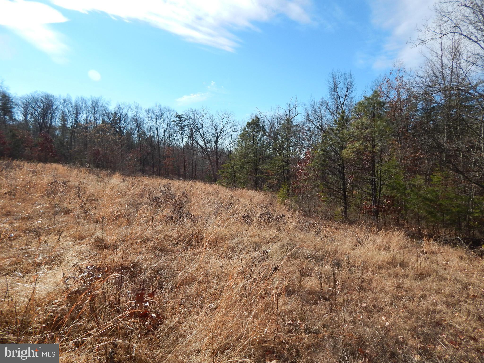 5 Spielman Road Berkeley Springs, WV 25411 - Photo 1 of 5 View