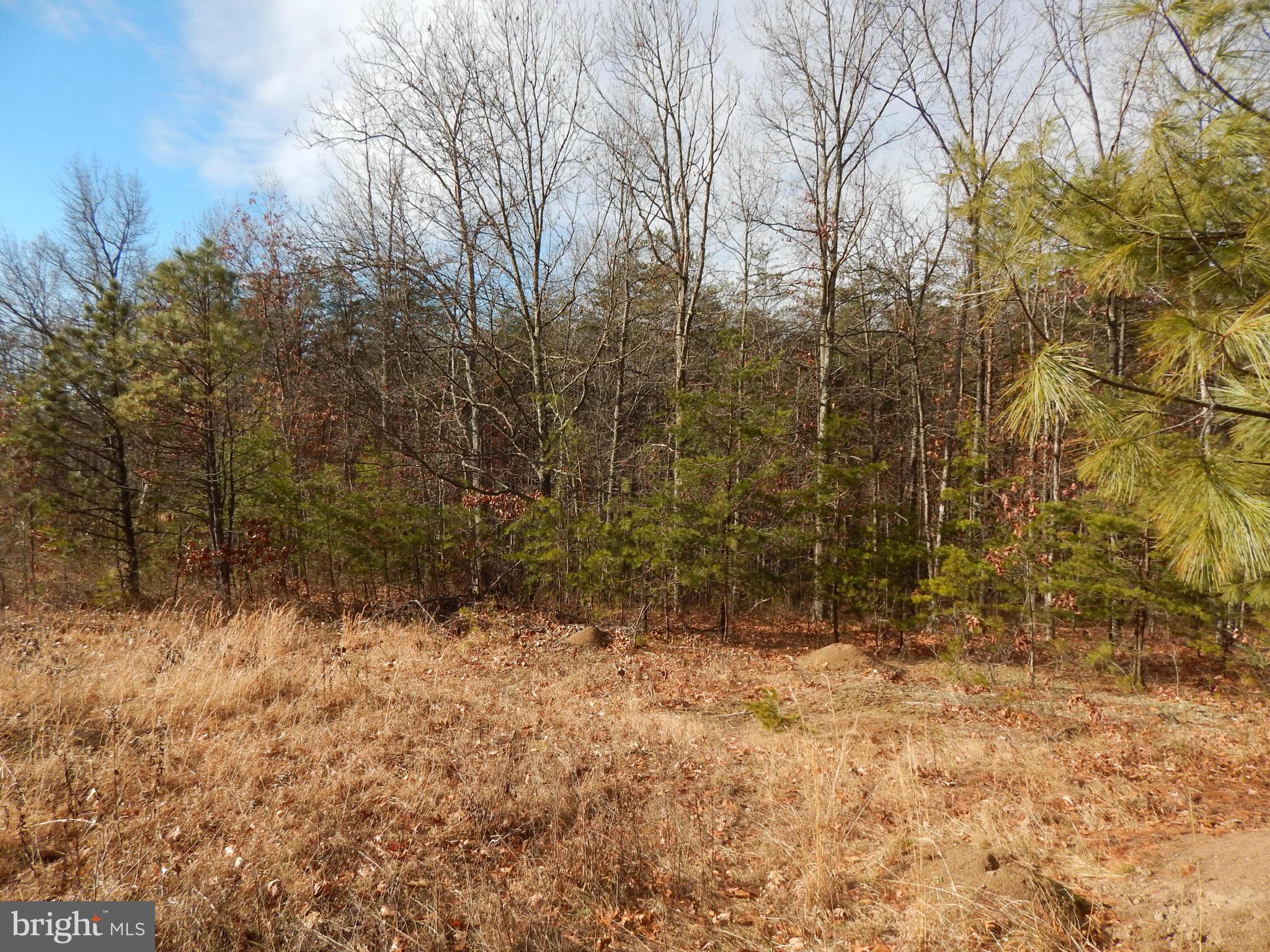 5 Spielman Road Berkeley Springs, WV 25411 - Photo 2 of 5 View