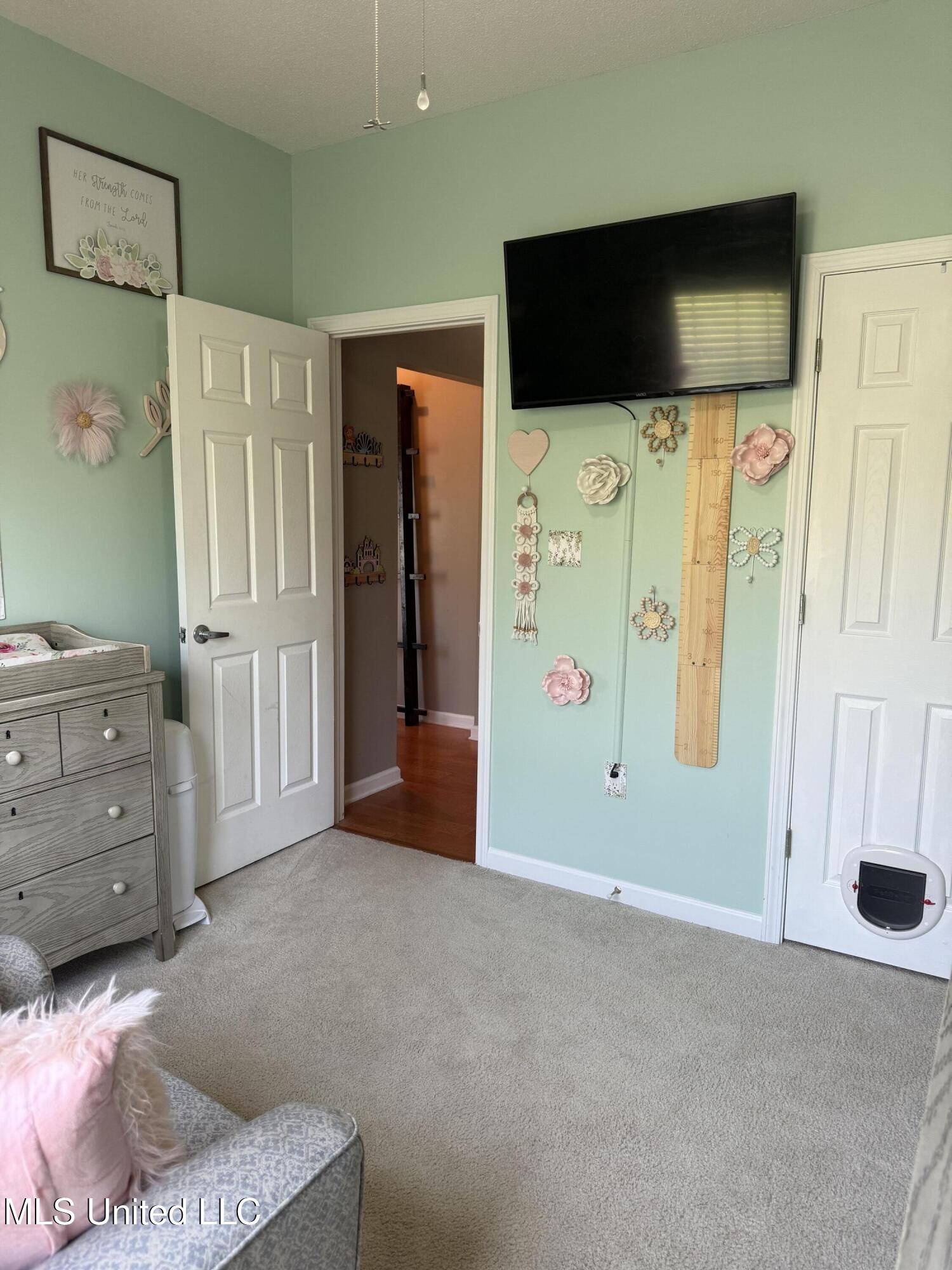 25 Dry Field Road Byhalia, MS 38611 - Photo 24 of 33 IMG_2756