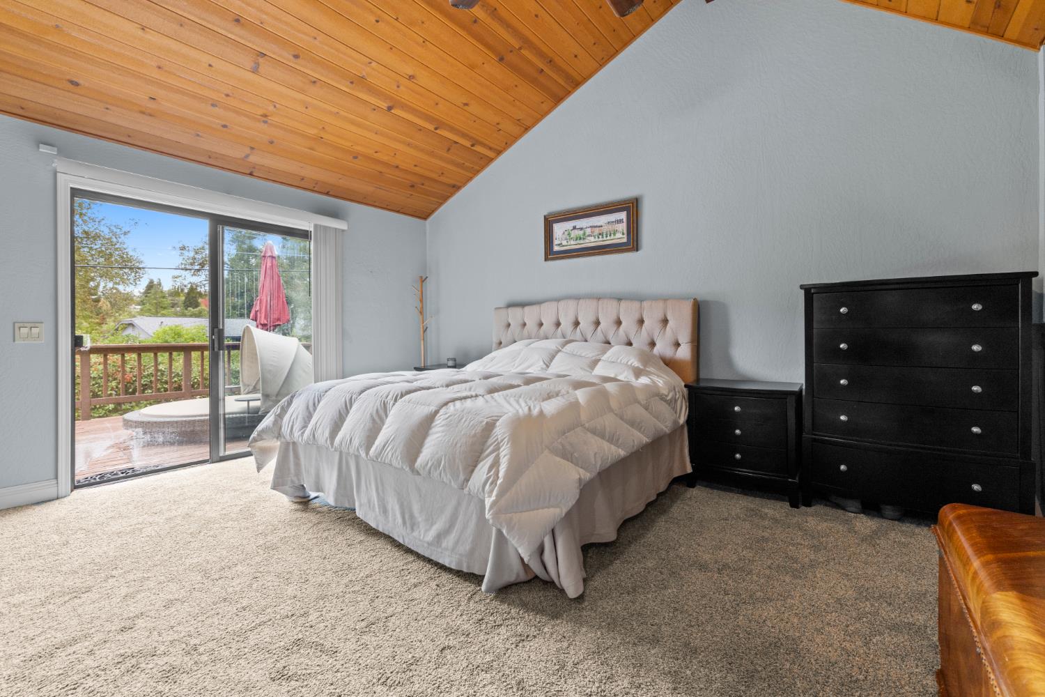 3590 Montclair Road Cameron Park, CA 95682 - Photo 5 of 44