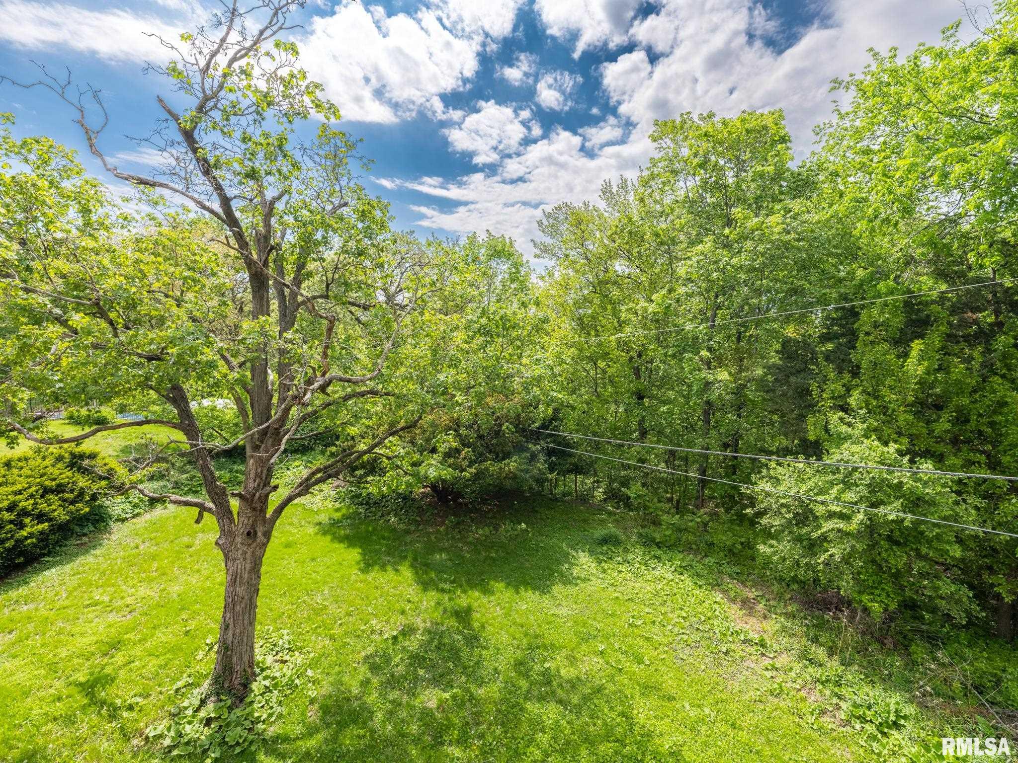 205 North Kickapoo Terrace Peoria, IL 61604 - Photo 19 of 74