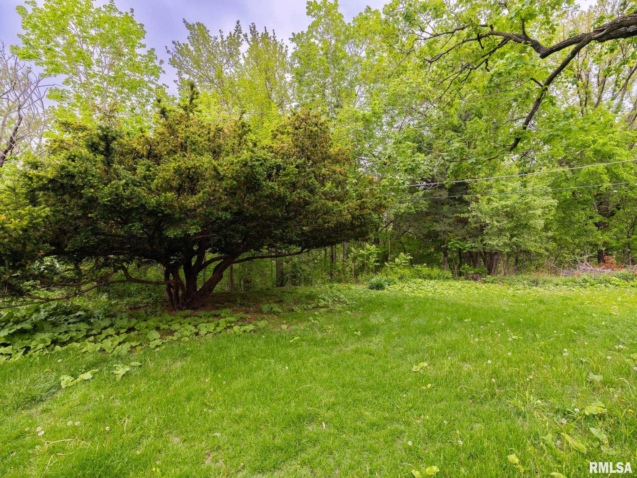 205 North Kickapoo Terrace Peoria, IL 61604 - Photo 65 of 74