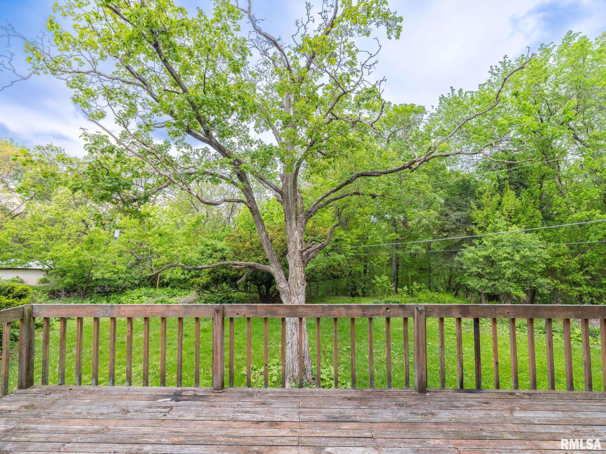 205 North Kickapoo Terrace Peoria, IL 61604 - Photo 72 of 74