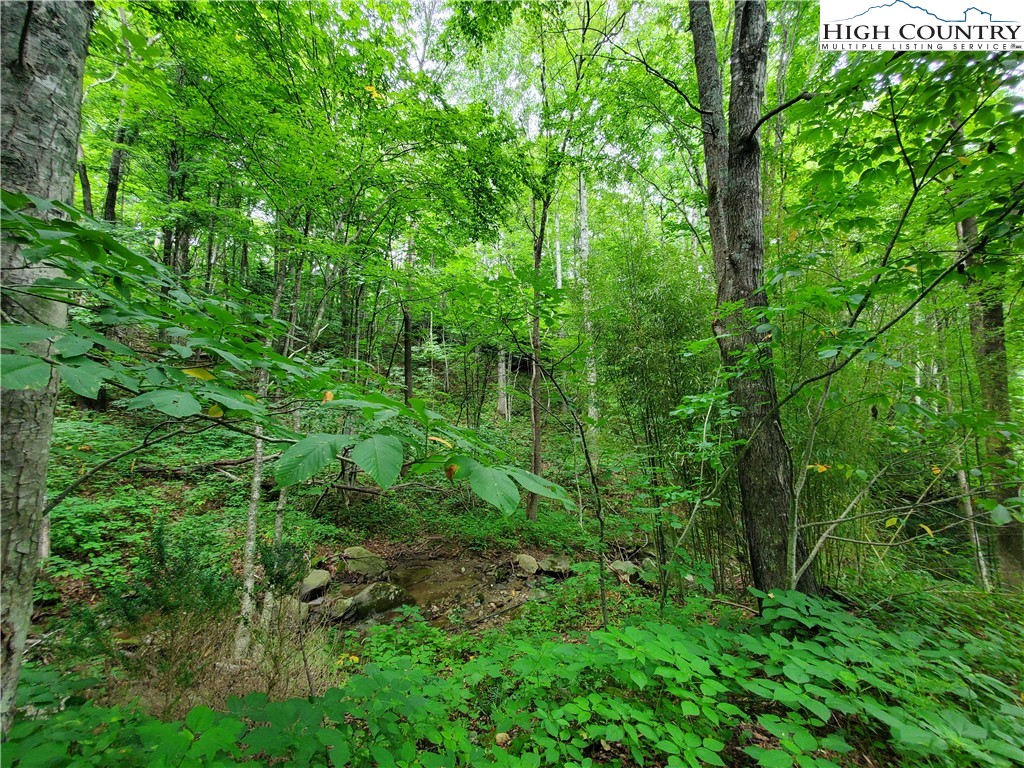 0 Pilot Ridge Road Blowing Rock, NC 28605 - Photo 5 of 11 Gallery Image 5