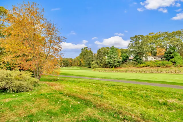 a view of a houses with a yard and swimming pool