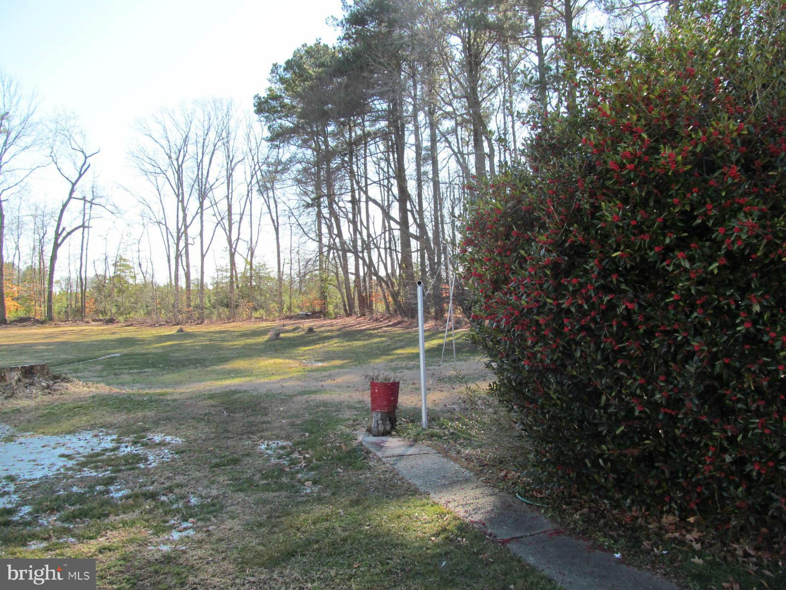 1310 Perrys Corner Road Grasonville, MD 21638 - Photo 25 of 30 Exterior (Rear)