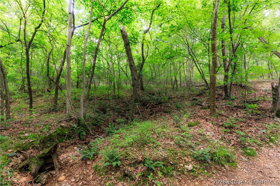 400 Hidden Acres Road Camdenton, MO 65020 - Photo 19 of 39