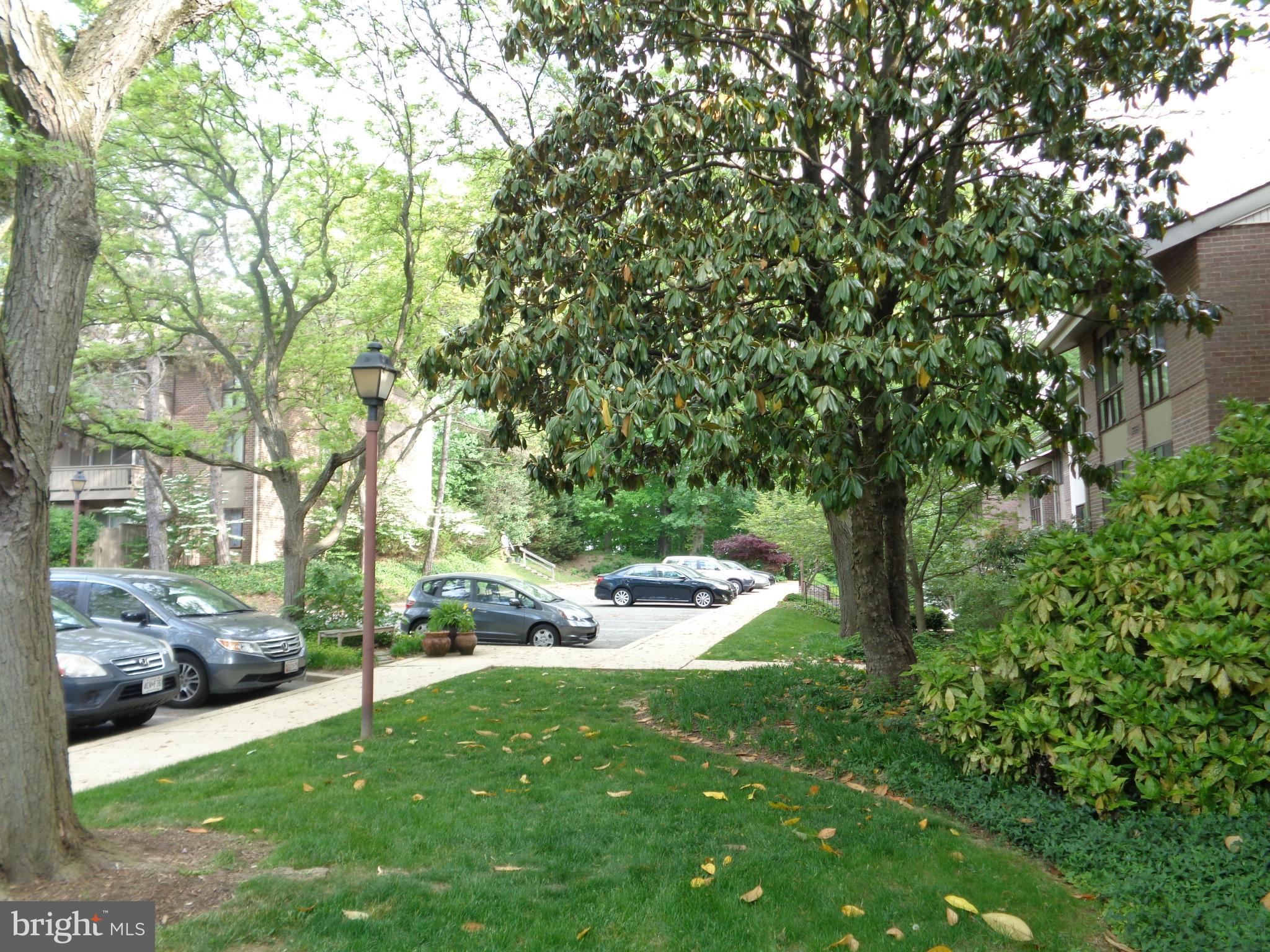 114 Cross Keys Road, Unit R114D Baltimore, MD 21210 - Photo 20 of 22 a view of yard with green space