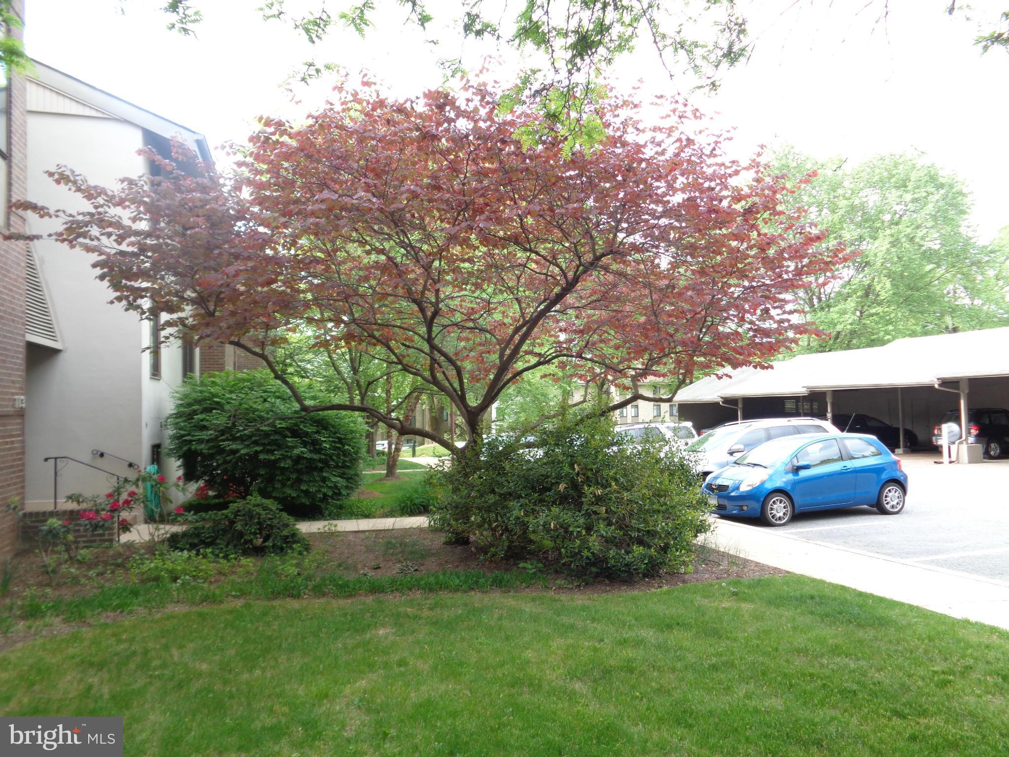 114 Cross Keys Road, Unit R114D Baltimore, MD 21210 - Photo 21 of 22 a house view with a garden space