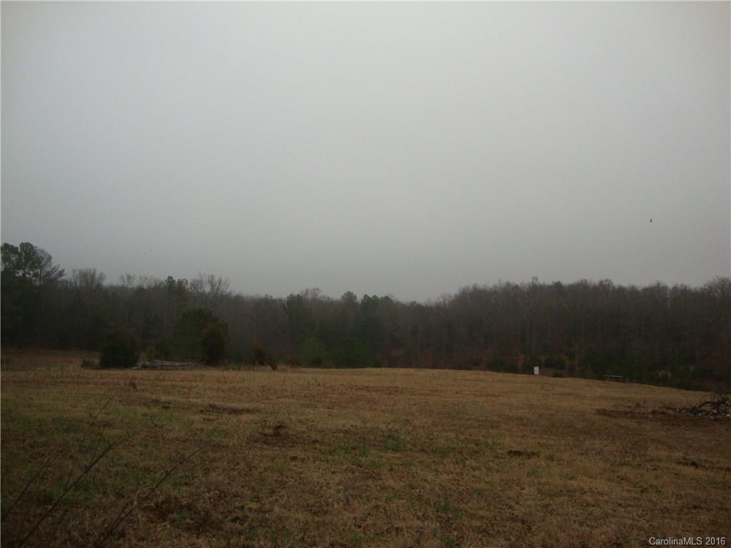 2320 Sutton Spring Road York, SC 29745 - Photo 4 of 4