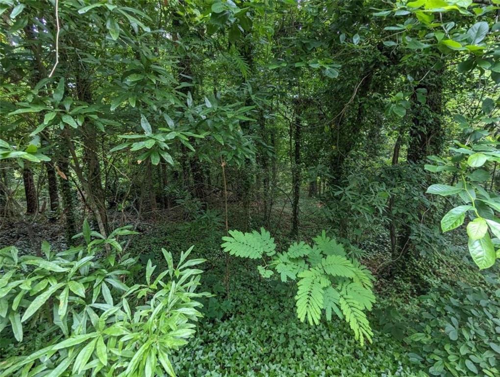 0 Dodson Drive Atlanta, GA 30344 - Photo 11 of 21 a view of a garden