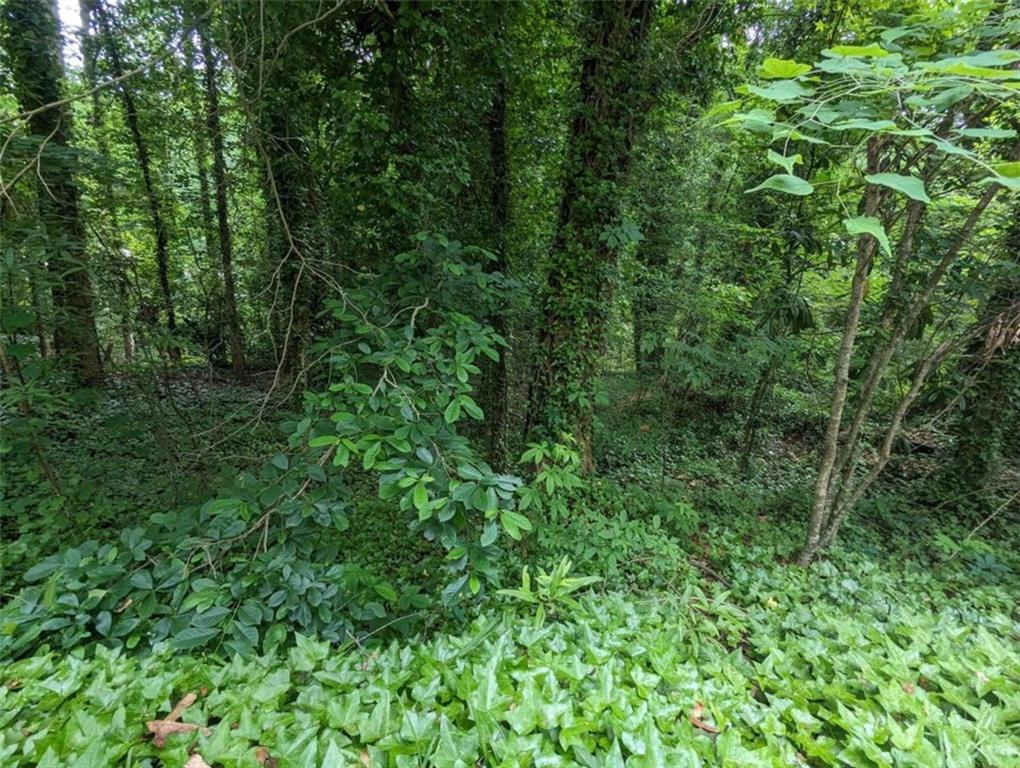 0 Dodson Drive Atlanta, GA 30344 - Photo 12 of 21 a view of a lush green forest