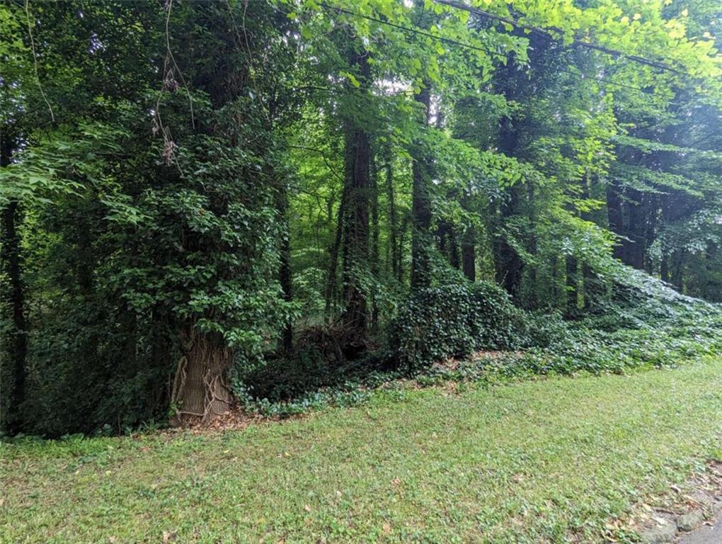 0 Dodson Drive Atlanta, GA 30344 - Photo 13 of 21 a view of a yard