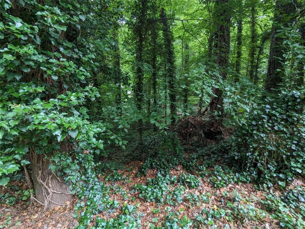 0 Dodson Drive Atlanta, GA 30344 - Photo 14 of 21 a view of a lush green forest