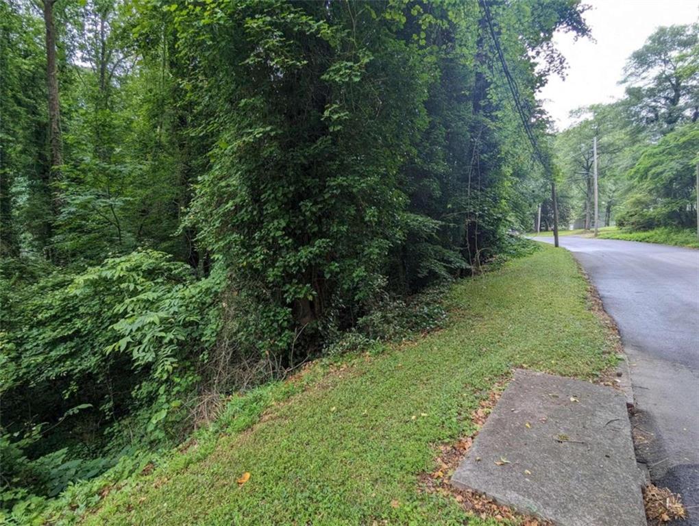 0 Dodson Drive Atlanta, GA 30344 - Photo 16 of 21 a view of a yard with plants and large trees