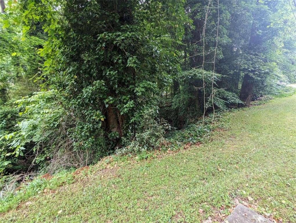 0 Dodson Drive Atlanta, GA 30344 - Photo 17 of 21 a view of a yard with plants and a bench