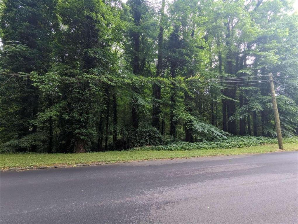 0 Dodson Drive Atlanta, GA 30344 - Photo 19 of 21 a view of a yard