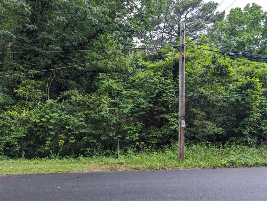 0 Dodson Drive Atlanta, GA 30344 - Photo 21 of 21 a view of a garden