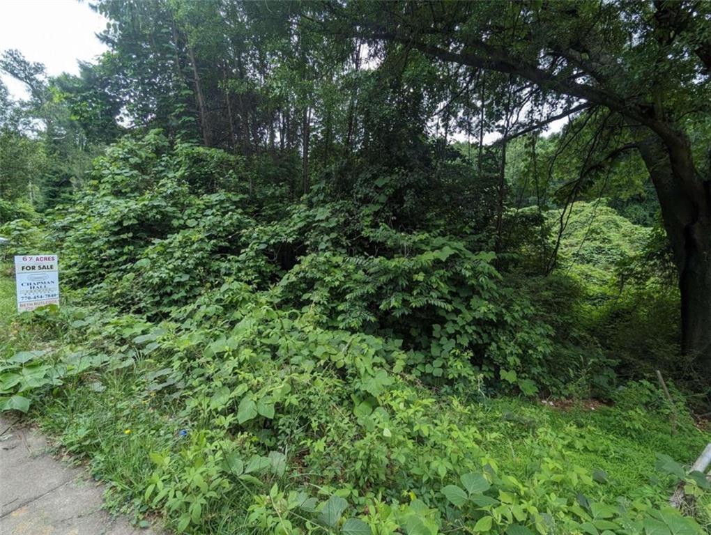 0 Dodson Drive Atlanta, GA 30344 - Photo 3 of 21 a view of a lush green forest