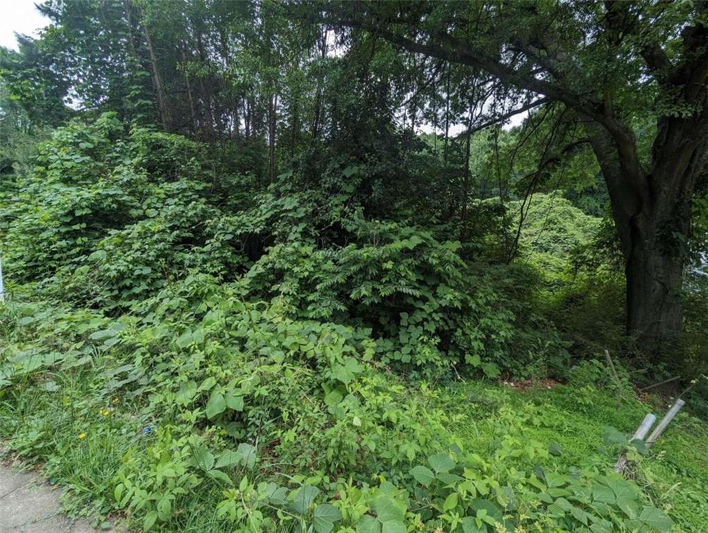 0 Dodson Drive Atlanta, GA 30344 - Photo 4 of 21 a view of a lush green forest