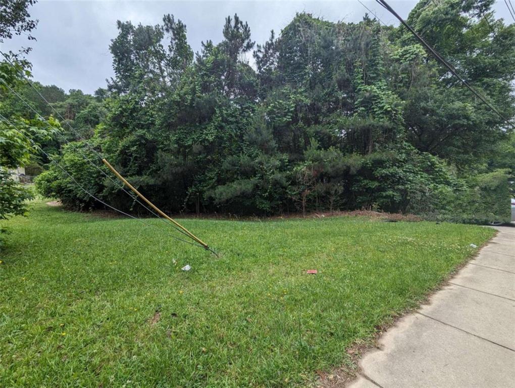 0 Dodson Drive Atlanta, GA 30344 - Photo 5 of 21 a view of field with grass and trees