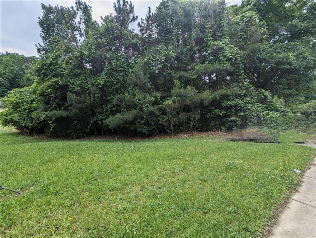 0 Dodson Drive Atlanta, GA 30344 - Photo 6 of 21 a view of a yard
