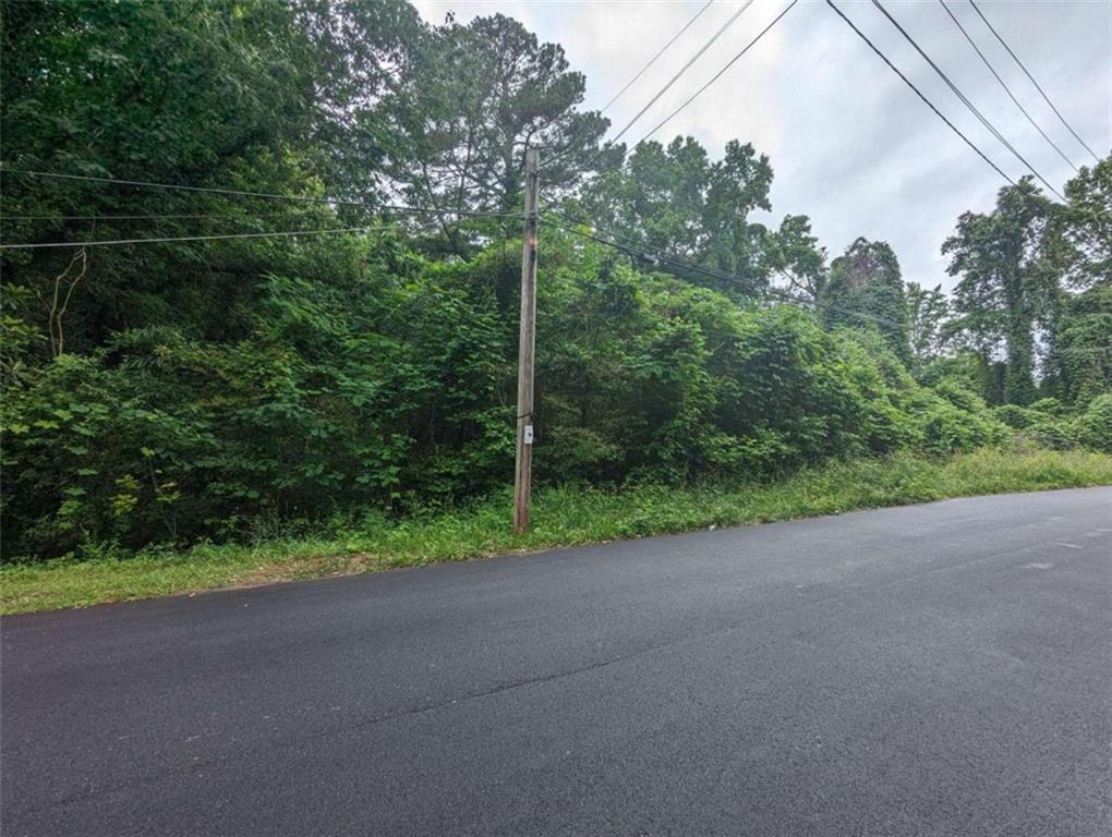 0 Dodson Drive Atlanta, GA 30344 - Photo 8 of 21 a view of a field with plants and trees