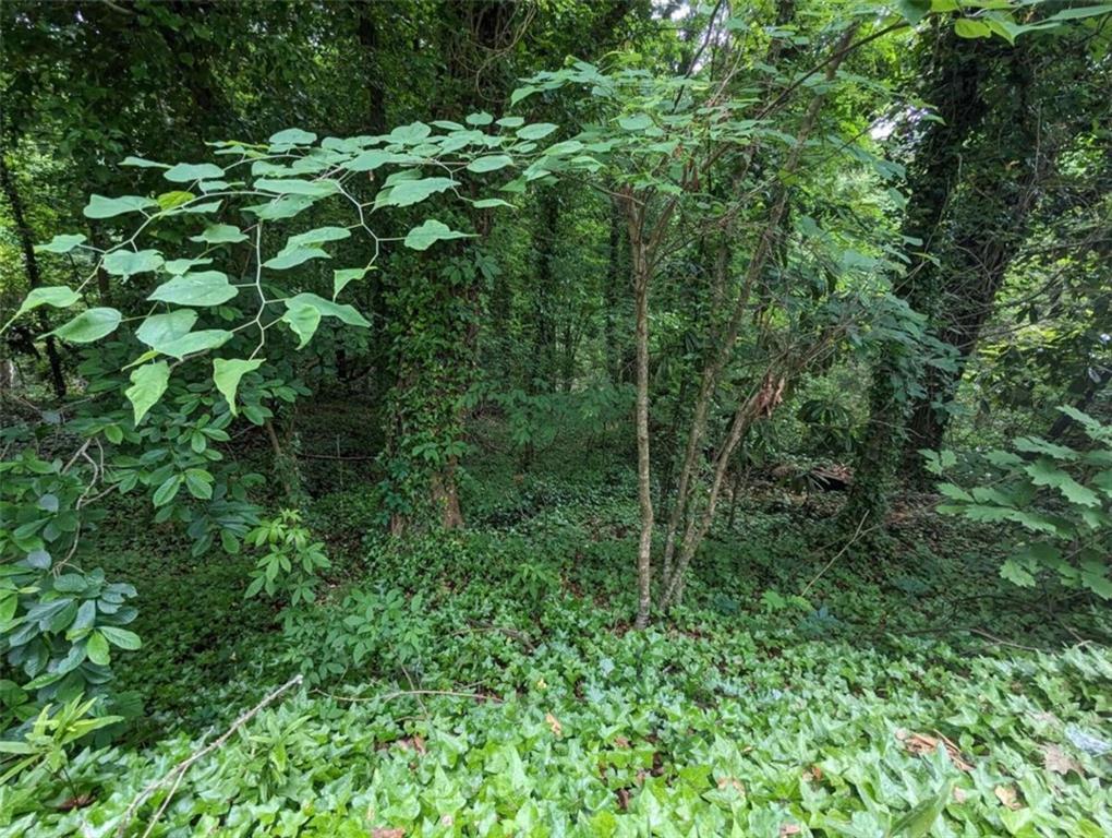 0 Dodson Drive Atlanta, GA 30344 - Photo 9 of 21 a view of a lush green forest