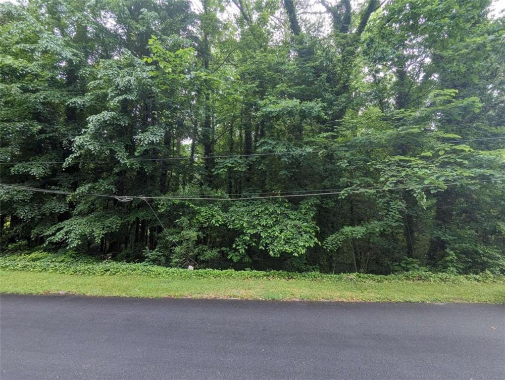 0 Dodson Drive Atlanta, GA 30344 - Photo 10 of 21 a view of outdoor space and yard