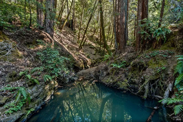 $1,800,000 | 4901 Little Mill Creek Road, Philo, CA 95466