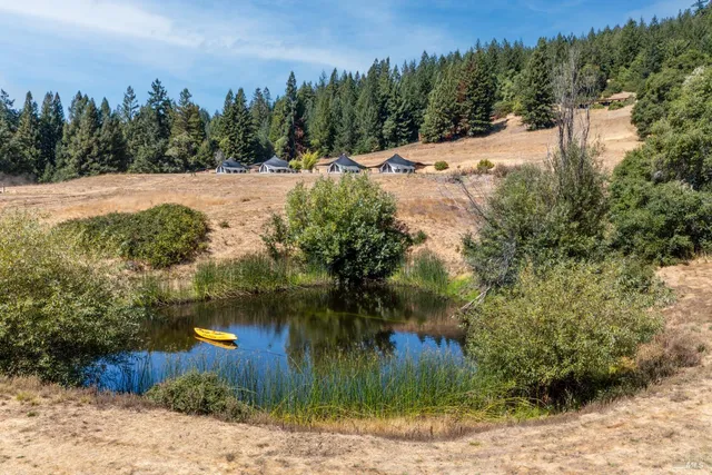 a view of a yard with a tree