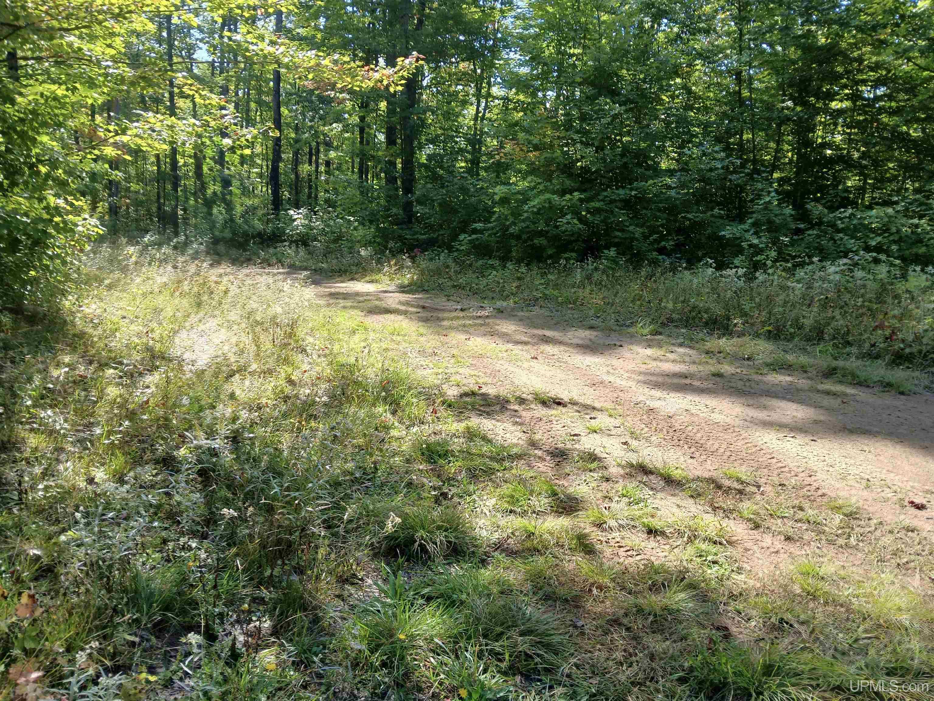 Tbd Tbd Baltic Onkalos Corner Road South Range, MI 49963 - Photo 11 of 37