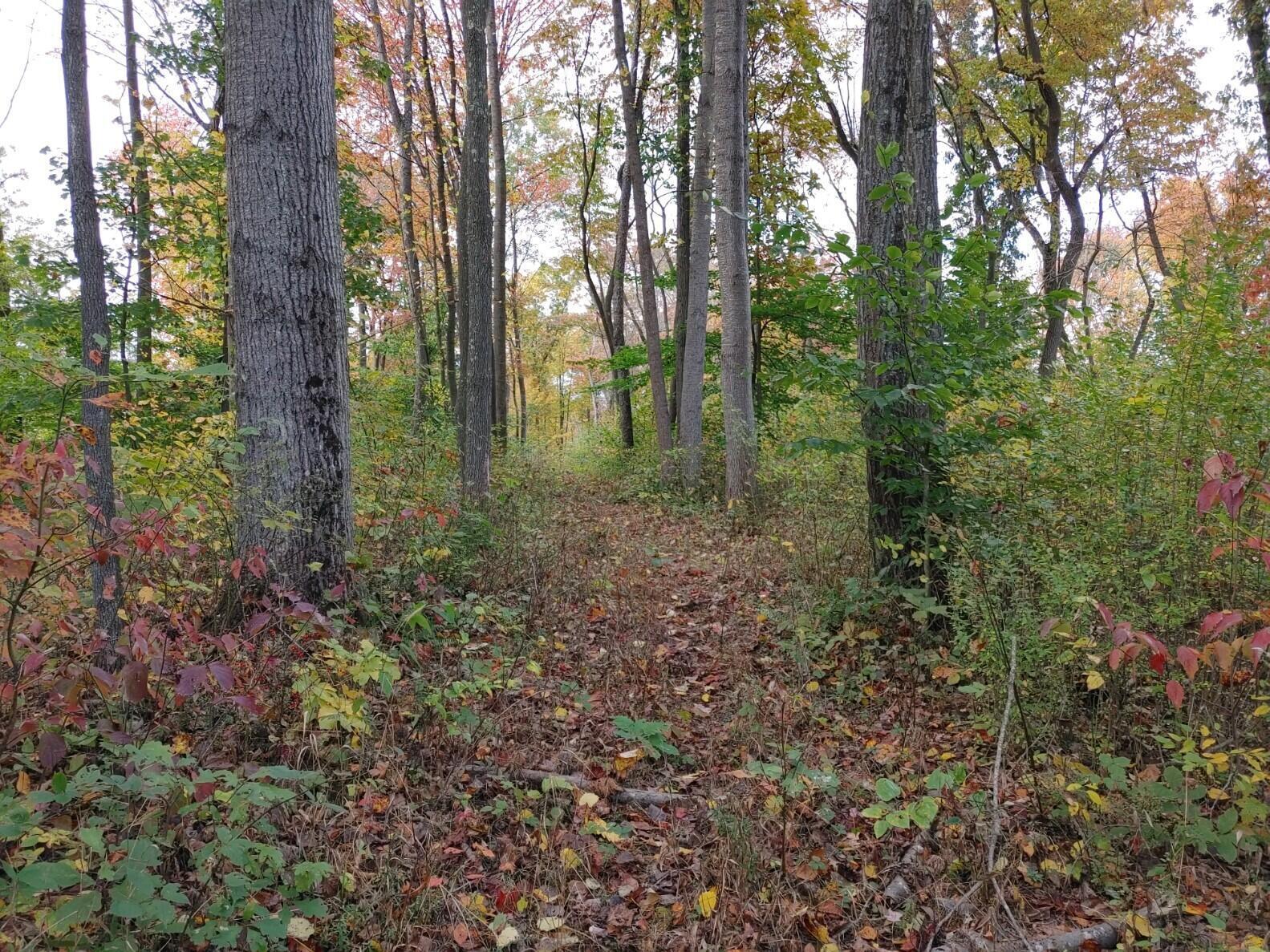 8600 Walnut Dowler Road Logan, OH 43138 - Photo 9 of 24 117