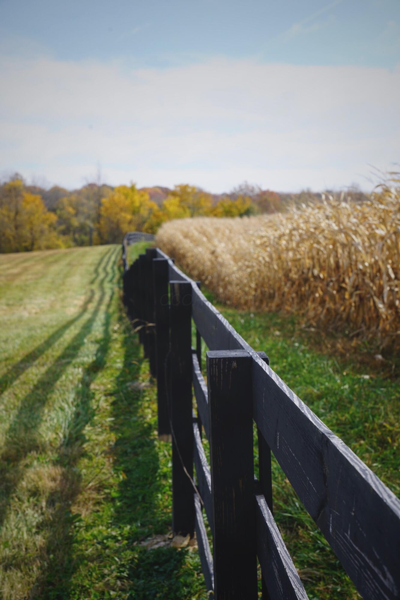 4056 Courter Road Southwest Pataskala, OH 43062 - Photo 100 of 116 4056 Courter Rd