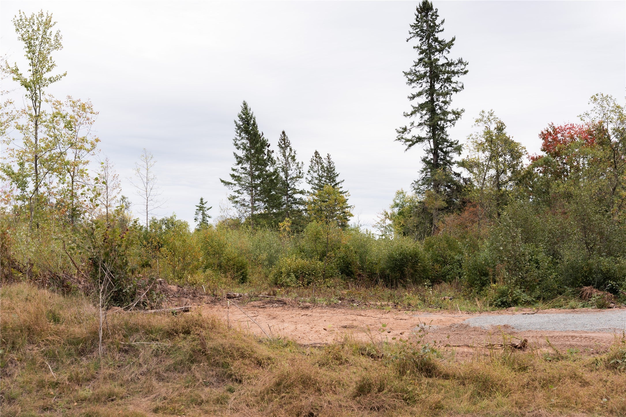 0 Girod Road Ladysmith, WI 54848 - Photo 10 of 19 Gallery Image 10