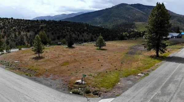 $45,000 | Elk View Dr Canyon, Canyon City, OR 97820